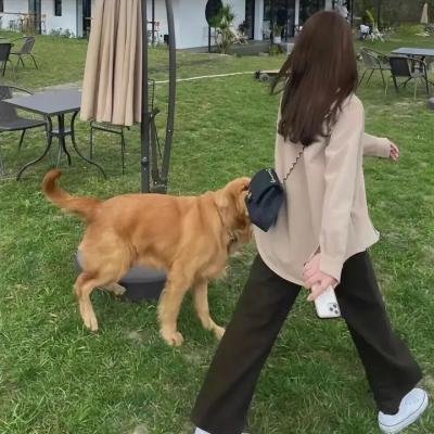 大赌场粤语